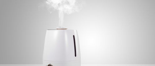 家电快讯 加湿器冬日销量走高 干燥天气成 必备神器