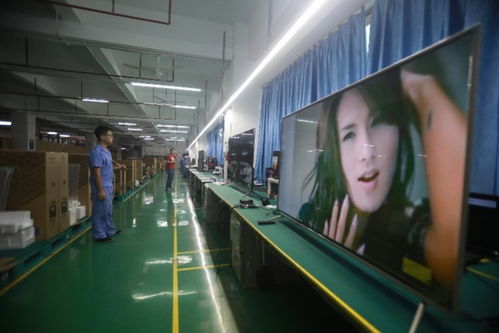 深圳家电代工厂新品牌低价逆袭,反向定制成双11新关键词