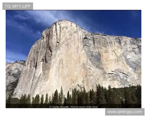 18次落泪！豆瓣8.9分，《不可饶恕》告诉你什么叫刻骨铭心